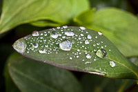 IMG_3436.JPG
