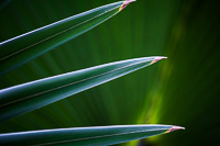 IMG_3913.JPG