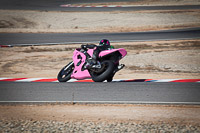 IMG_8091.JPG